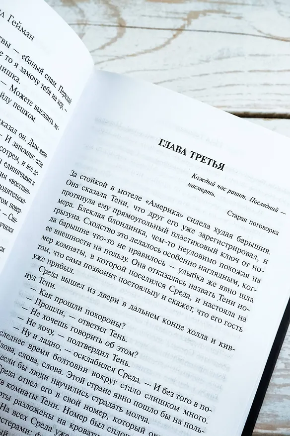 Книга Американские боги (Нил Гейман) — 14