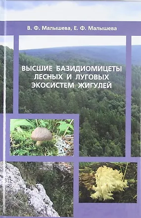 Книга Высшие базидиомицеты лесных и луговых экосистем Жигулей ()