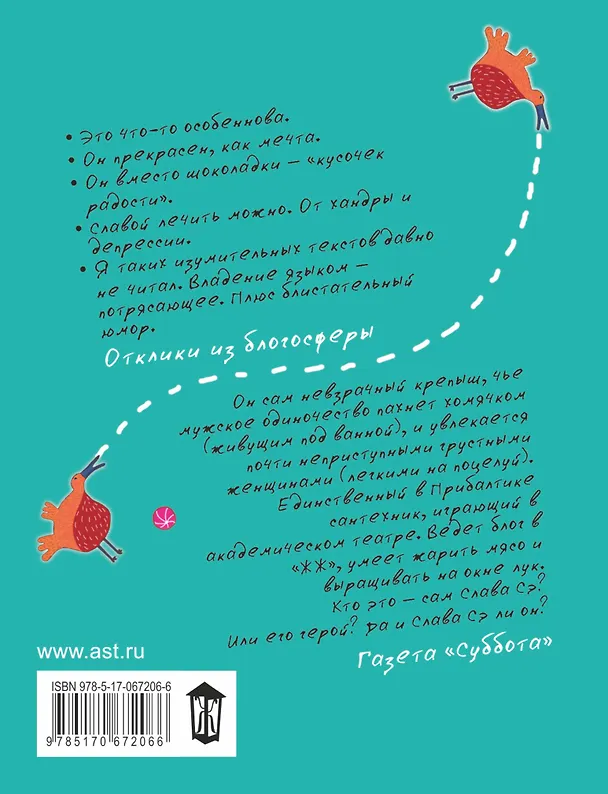 Книга Сантехник, его кот, жена и другие подробности (Слава Сэ) — 2