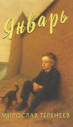 Книга Январь (Мирослав Теренеев)