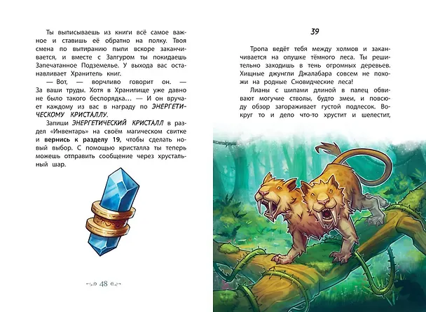 Книга Врата теней (#1) (Хендрик Ламбертус) — 13