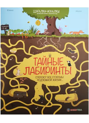 Тайные лабиринты. Большая книга лабиринтов — 2566958 — 1