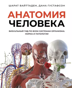 Анатомия человека. Визуальный гид по всем системам организма: норма и патологии — 3067363 — 1