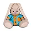 Мягкая игрушка Зайка Ми в голубом комбинезоне (15 см) — 2928361 — 1