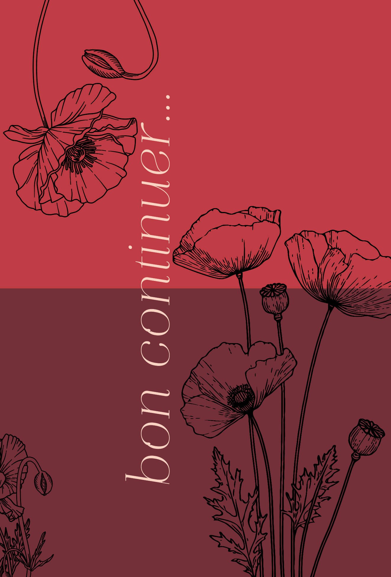 

Bon continuer. Сборник стихотворений