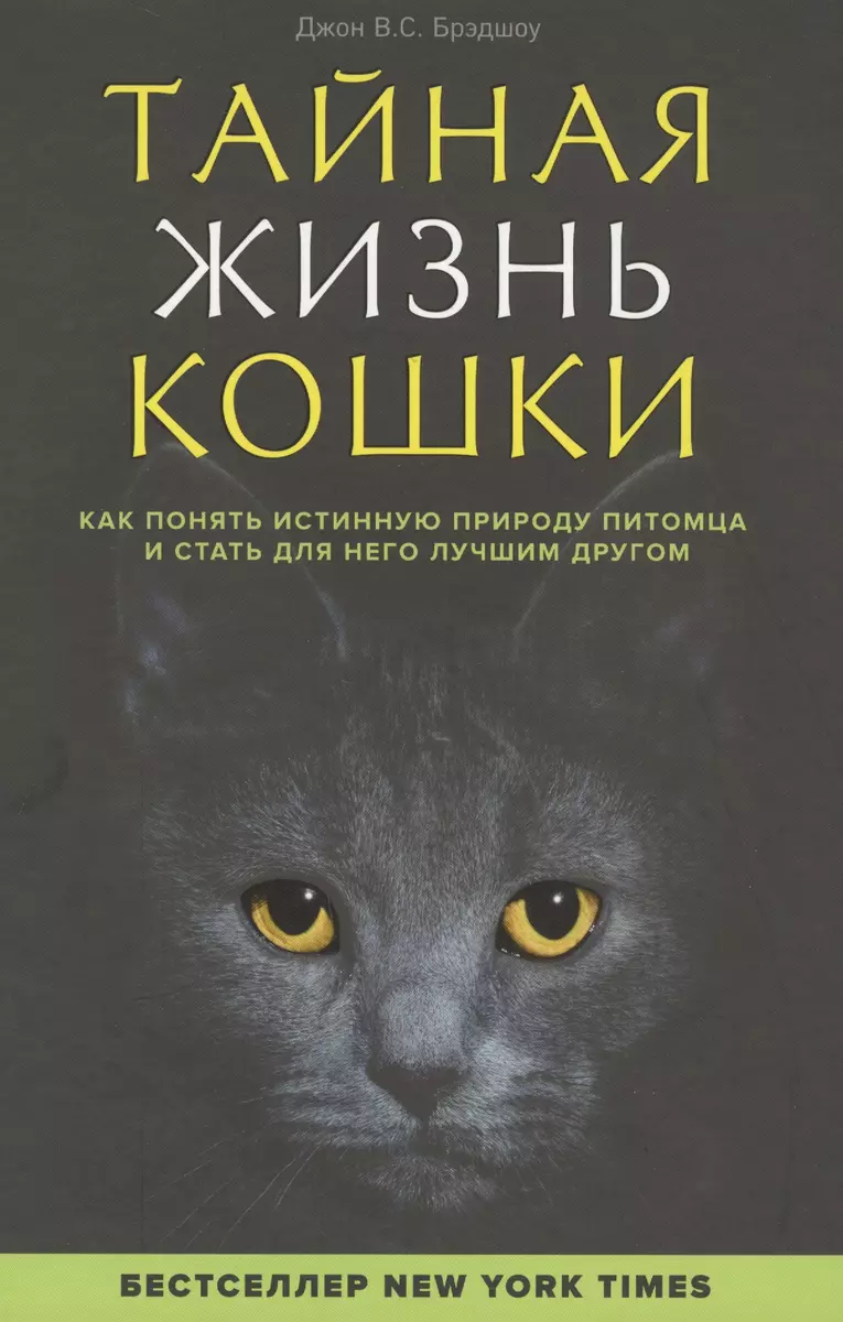 Тайная жизнь кошки. Как понять истинную природу питомца и стать для него  лучшим другом (Джон Брэдшоу) - купить книгу с доставкой в интернет-магазине  «Читай-город». ISBN: 978-5-699-72563-2