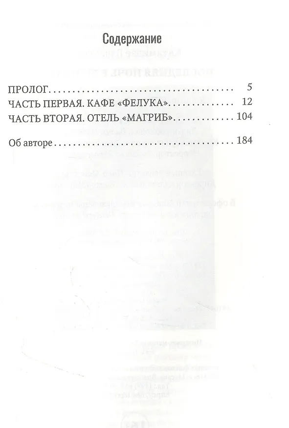 Книга Последняя ночь в Бейруте: роман (Вячеслав Катамидзе) — 2