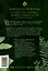 Зеленая магия. Сезонные ритуалы, зельетворчество, алхимия трав — 2880560 — 2