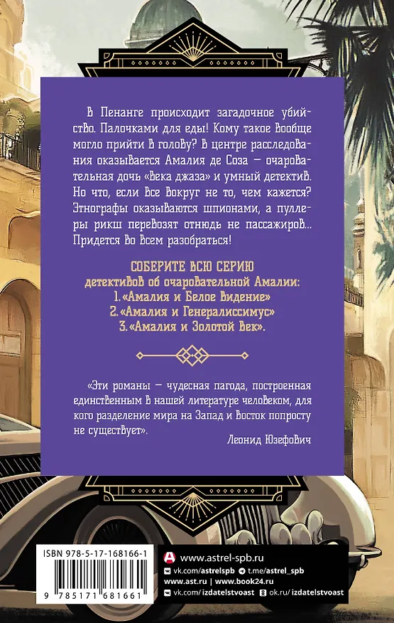 Книга Амалия и Белое видение (Чэнь Мастер) — 2