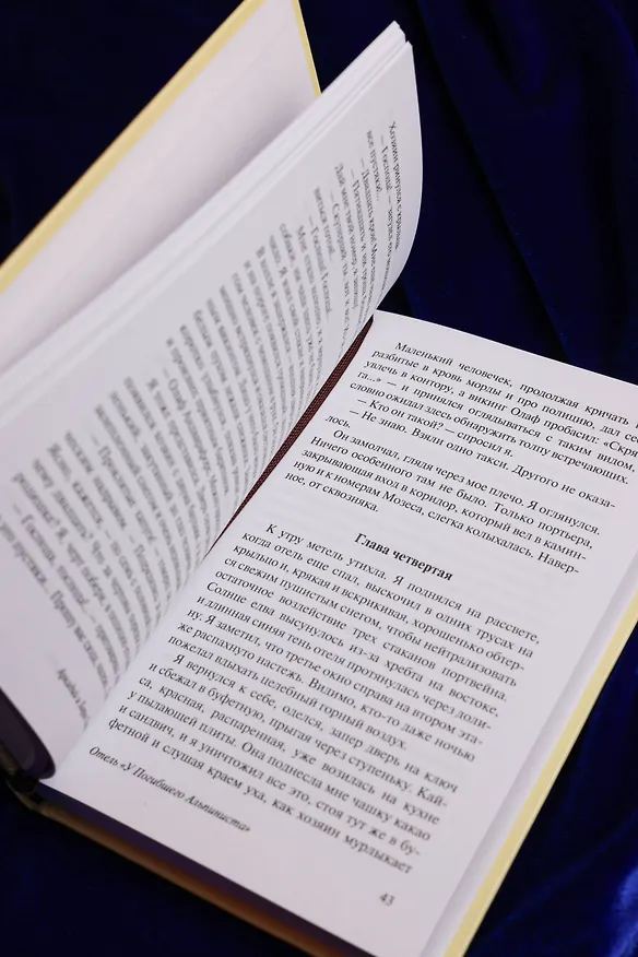 Книга Отель "У погибшего альпиниста" (Борис Стругацкий, Аркадий Стругацкий) — 10