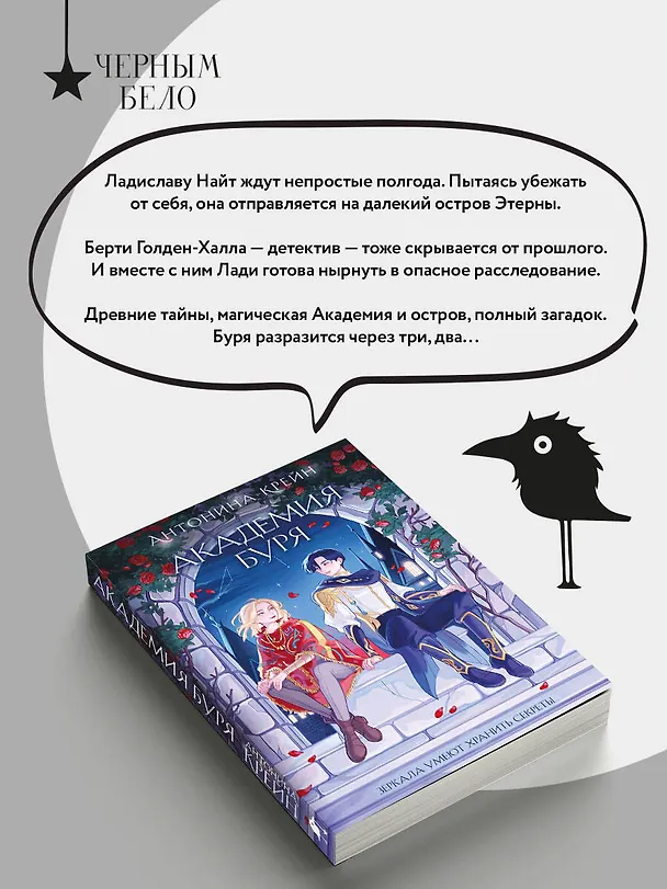 Книга Шолох. Академия Буря (Антонина Крейн) — 8