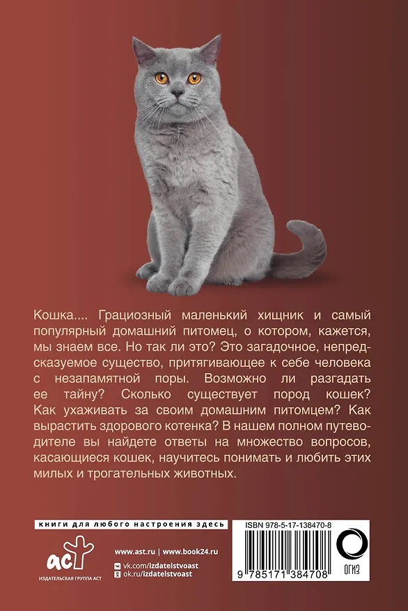 Книга Кошки (Николай Непомнящий) — 2