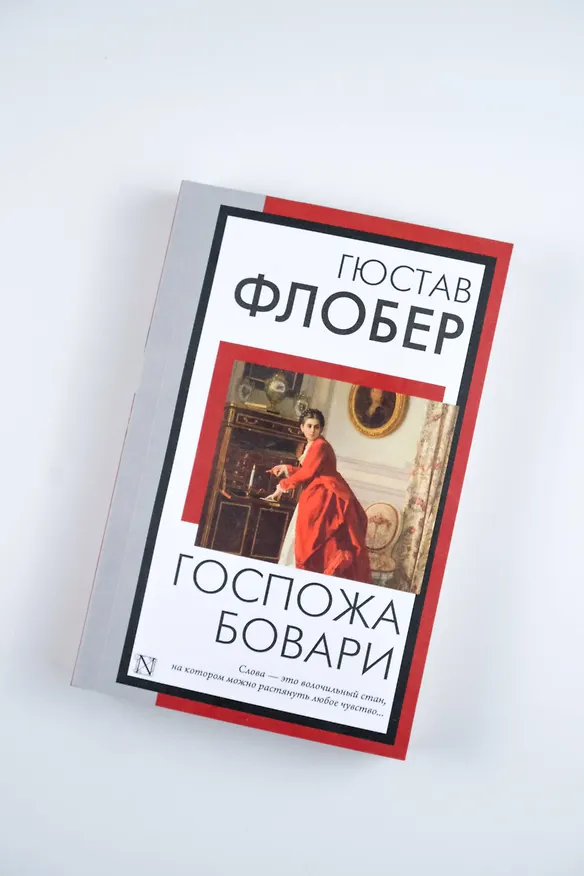 Книга Госпожа Бовари (Гюстав Флобер) — 6