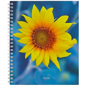 Тетрадь в клетку Unnika, "В утренней дымке", 80 листов, в ассортименте