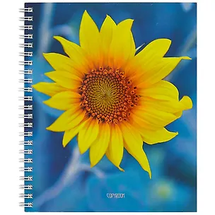 Тетрадь в клетку Unnika, "В утренней дымке", 80 листов, в ассортименте 251264