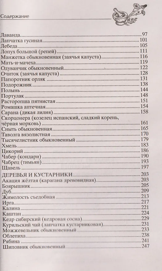Книга Блюда из дикорастущих растений. Неиссякаемый источник витаминов к вашему столу (Светлана Цветаева) — 4