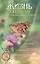 Жизнь как чудо. Книга о том, как сбываются мечты — 2580501 — 1
