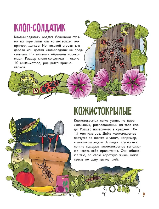 Книга Насекомые (Эмма Янссон) — 13
