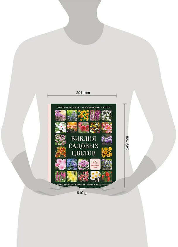 Книга Библия садовых цветов. Однолетники, многолетники и луковичные. Советы по посадке, выращиванию и уходу () — 10