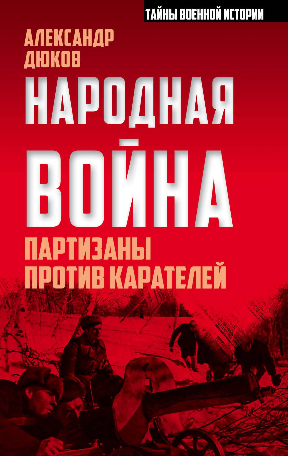 

Народная война. Партизаны против карателей