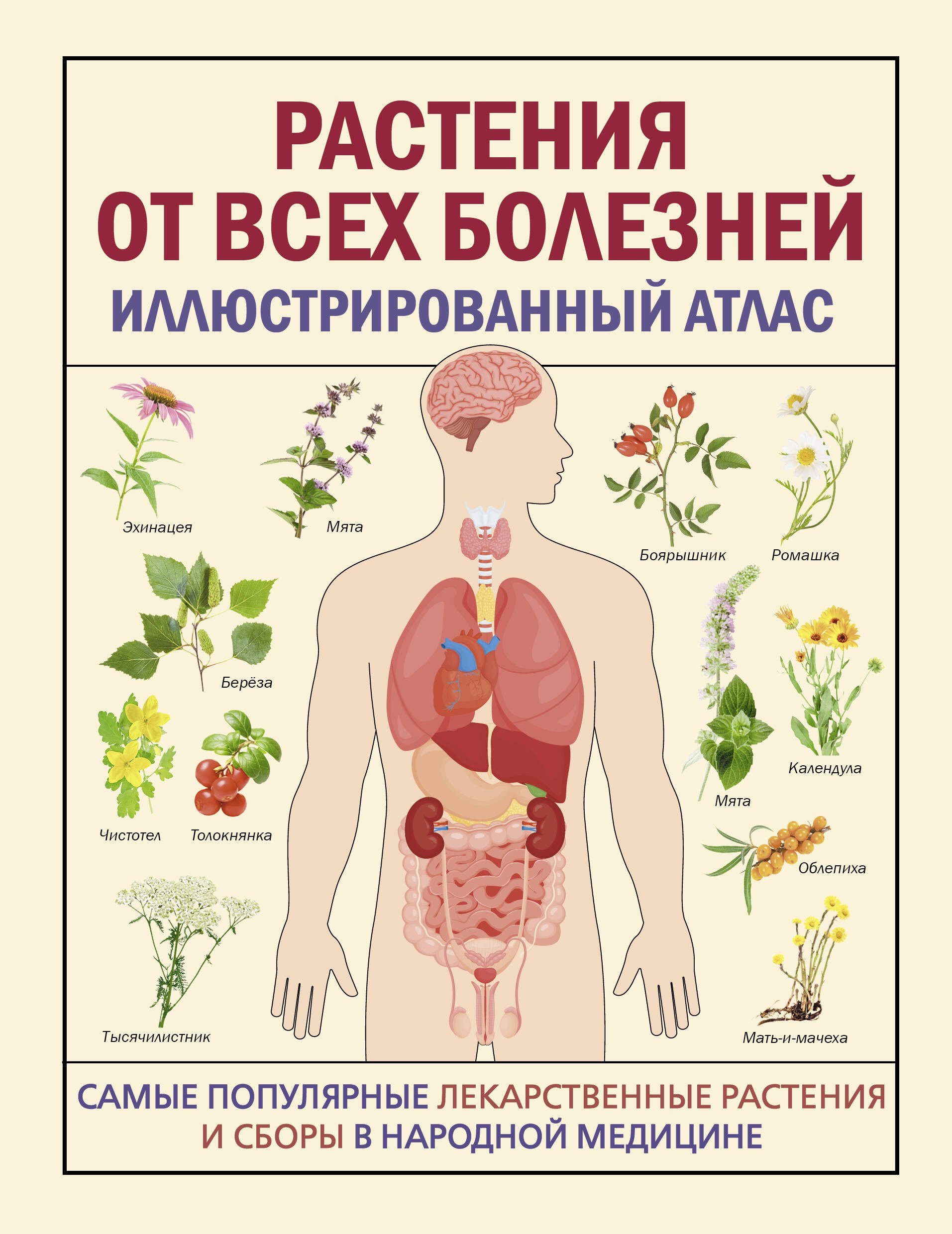 

РАСТЕНИЯ ОТ ВСЕХ БОЛЕЗНЕЙ. Иллюстрированный атлас