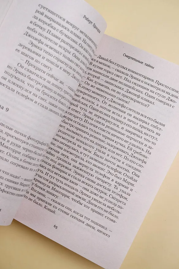 Книга Смертельные тайны (Роберт Брындза) — 9