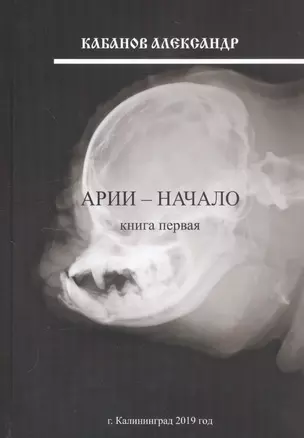 Арии - начало. Книга первая — 2810912 — 1