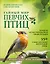 Тайный мир певчих птиц. Большая иллюстрированная энциклопедия — 2622890 — 1