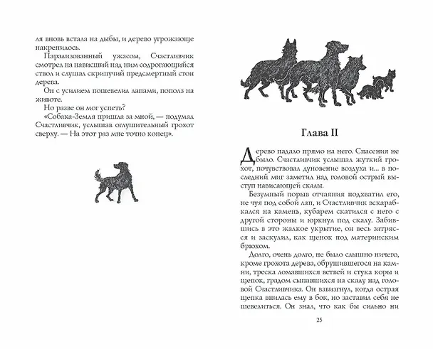 Книга Тайный враг (Эрин Хантер) — 12