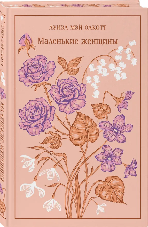 Книга Набор классика о женщинах (комплект из 3 книг: Гордость и предубеждение, Джейн Эйр, Маленькие женщины) (Луиза Мэй Олкотт, Джейн Остен, Шарлотта Бронте) — 5