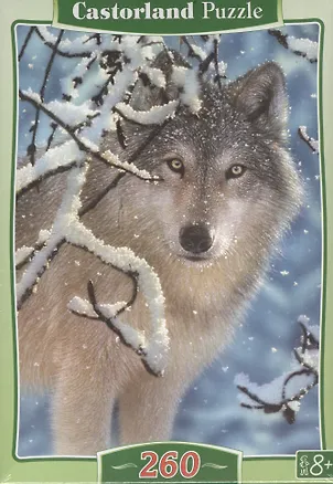 Пазл Castorland MIDI Волк 260эл. B-27224 2382138