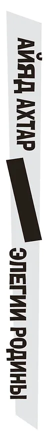 Книга Элегии родины (Айяд Ахтар) — 3