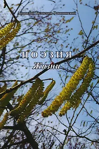 Поэзия жизни