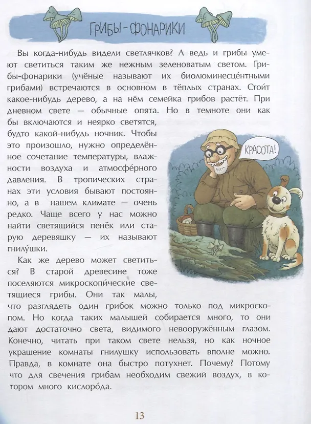 Книга Грибное царство (Алёна Васнецова) — 5