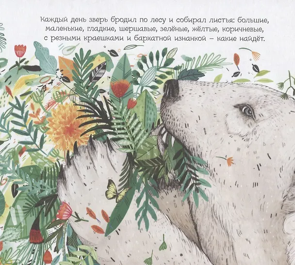 Книга Чудо (новинка) (Сандра Дикманн) — 2
