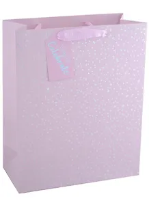 Пакет А4 26*32*12 "Time to celebrate" жен., бум., гологр.тиснение