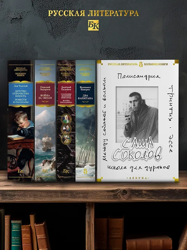 Книга Школа для дураков. Между собакой и волком. Палисандрия. Триптих. Эссе (Саша Соколов) — 6