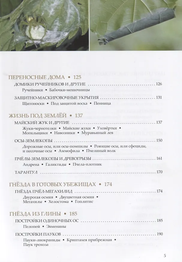 Книга Пчелы, осы, пауки и другие строители () — 3