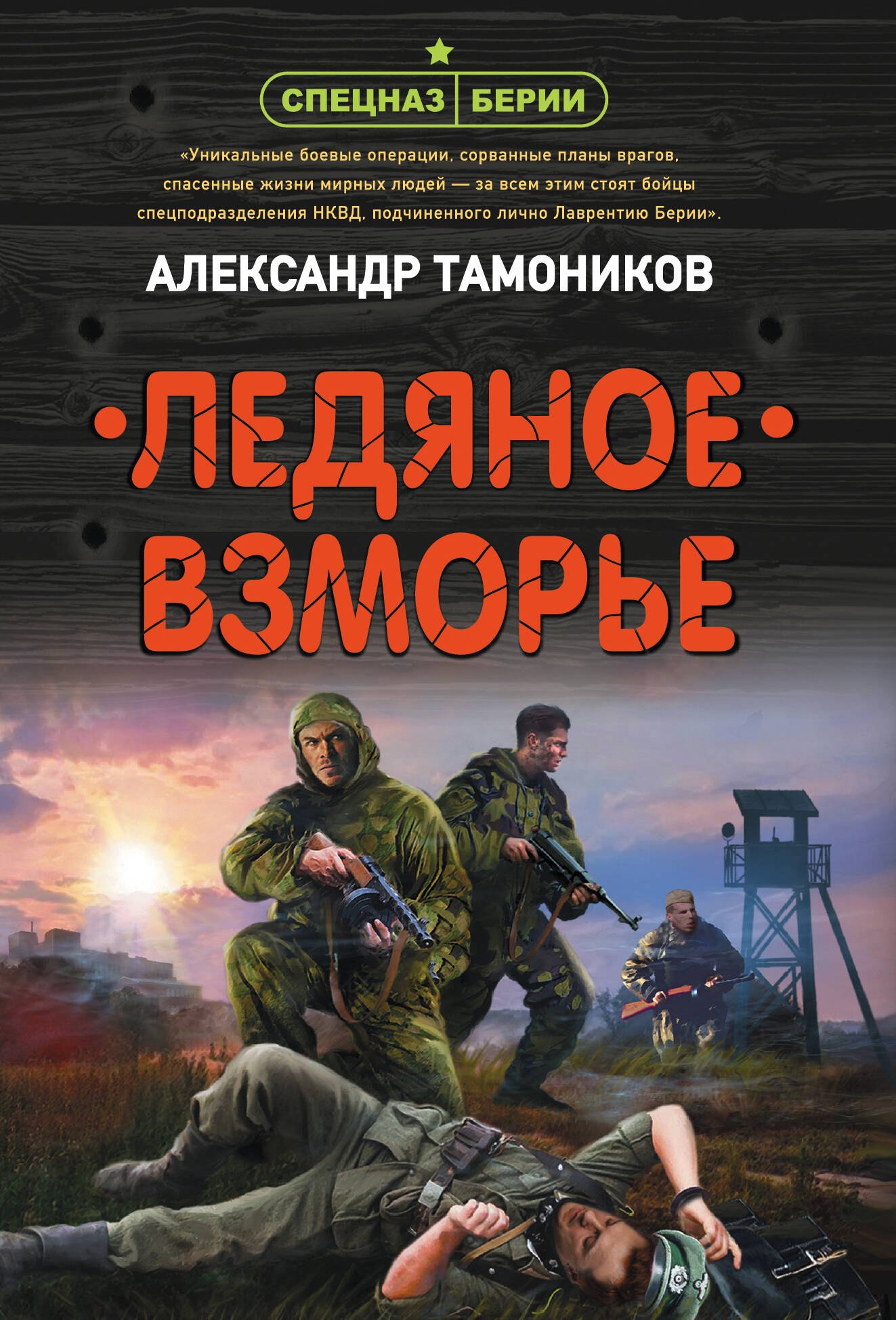

Ледяное взморье