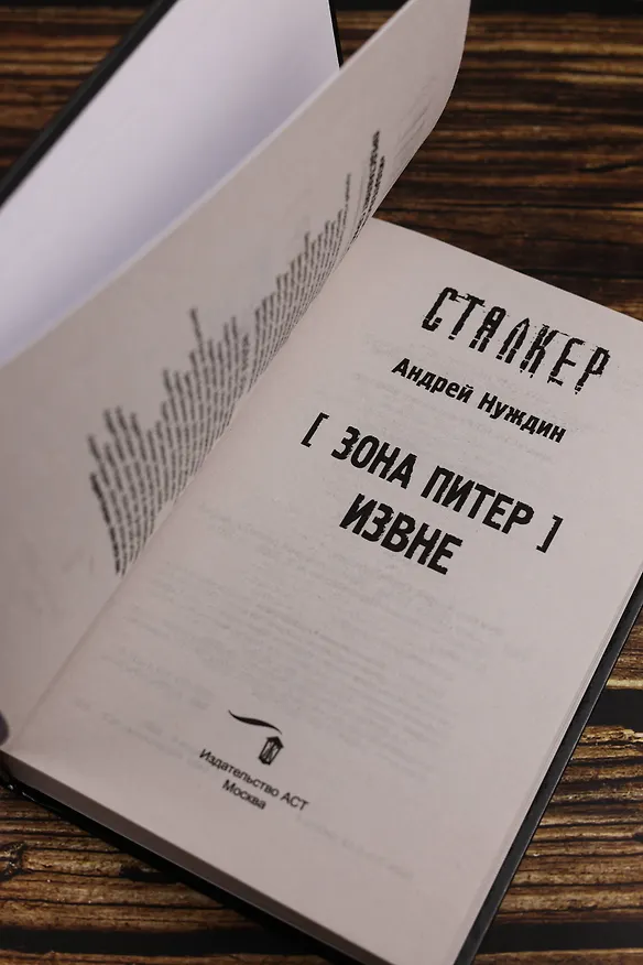 Книга Зона Питер. Извне (Андрей Нуждин) — 11