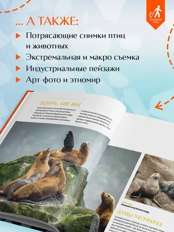 Книга Незабываемые моменты. Всероссийский фотоконкурс Бомбора 2025 () — 9