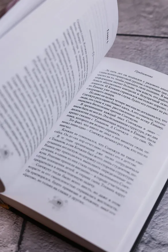 Книга Приближение (Довон Ко) — 14