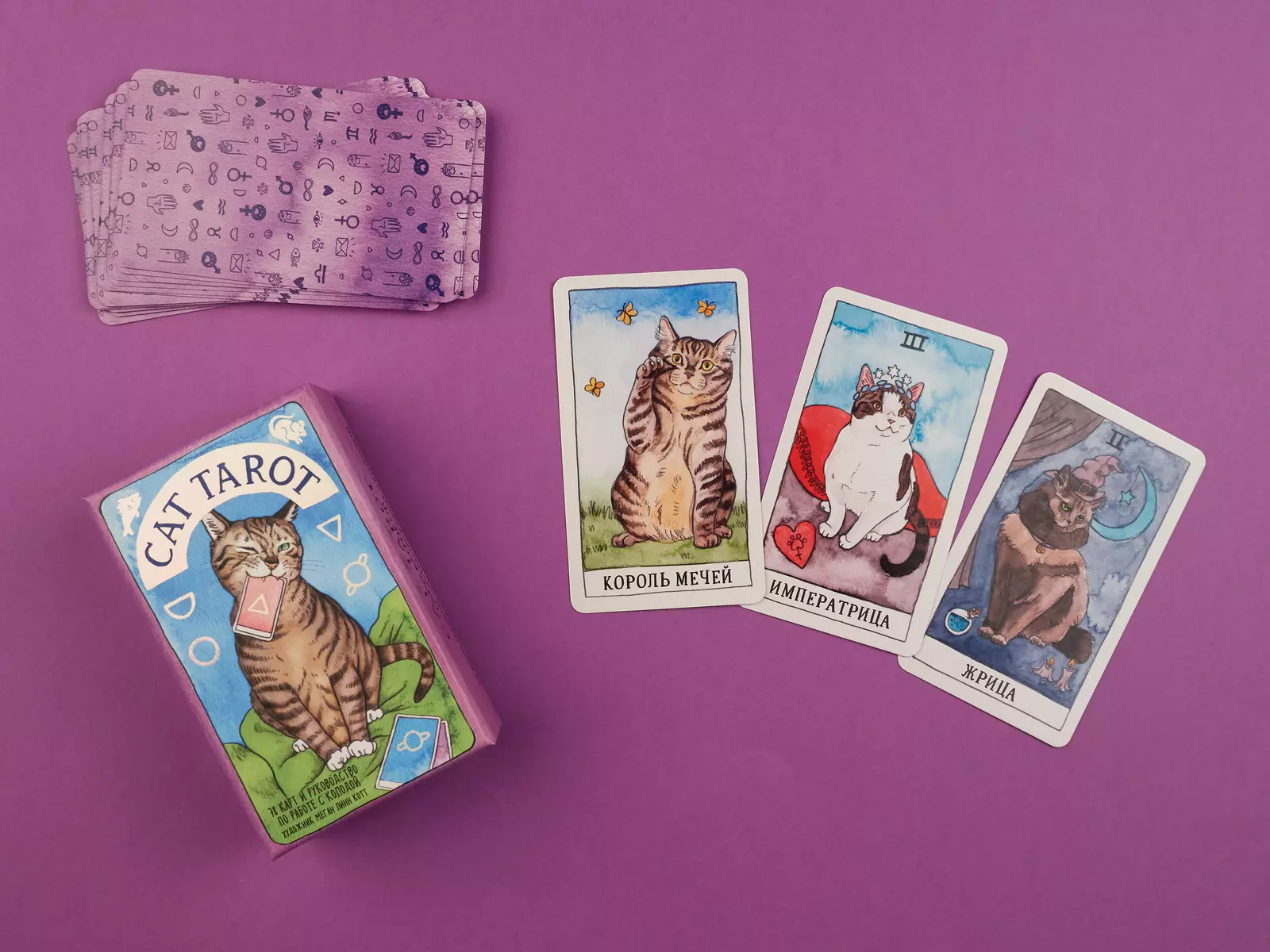 Cat Tarot. Таро Котиков (Меган Линн Котт) - купить книгу с доставкой в  интернет-магазине «Читай-город». ISBN: 978-5-04-118530-5