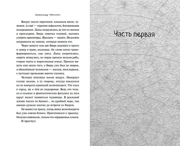 Книга Город Спящих (Александр Матюхин) — 10