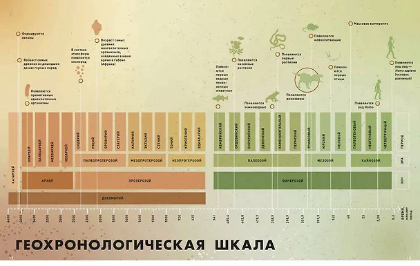 Книга Экскурсия в прошлое: динозавры. Самая реалистичная энциклопедия (Диего Маттарелли) — 4