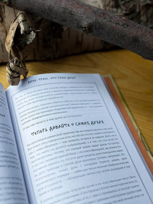 Книга По праву Силы. Северный шаманизм. Духи и предки. (Ада) — 19