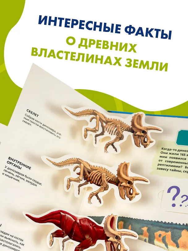 Книга Всё о динозаврах () — 7