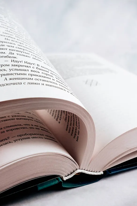 Книга Иная. Песнь Хаоса (Мария Токарева) — 15