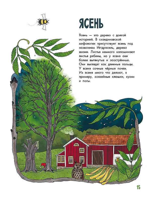 Книга Деревья (Эмма Янссон) — 8