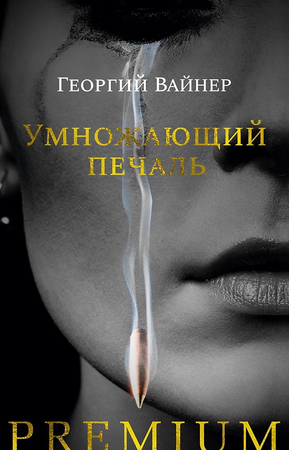Книга Умножающий печаль (Георгий Вайнер) — 1